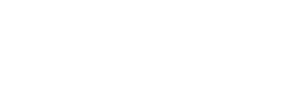 YouViet